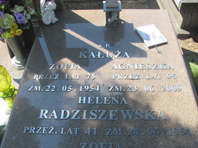 Zofia Kałuża Kalisz św. Józefa Tyniecki 0302 - Grobonet - Wyszukiwarka osób pochowanych