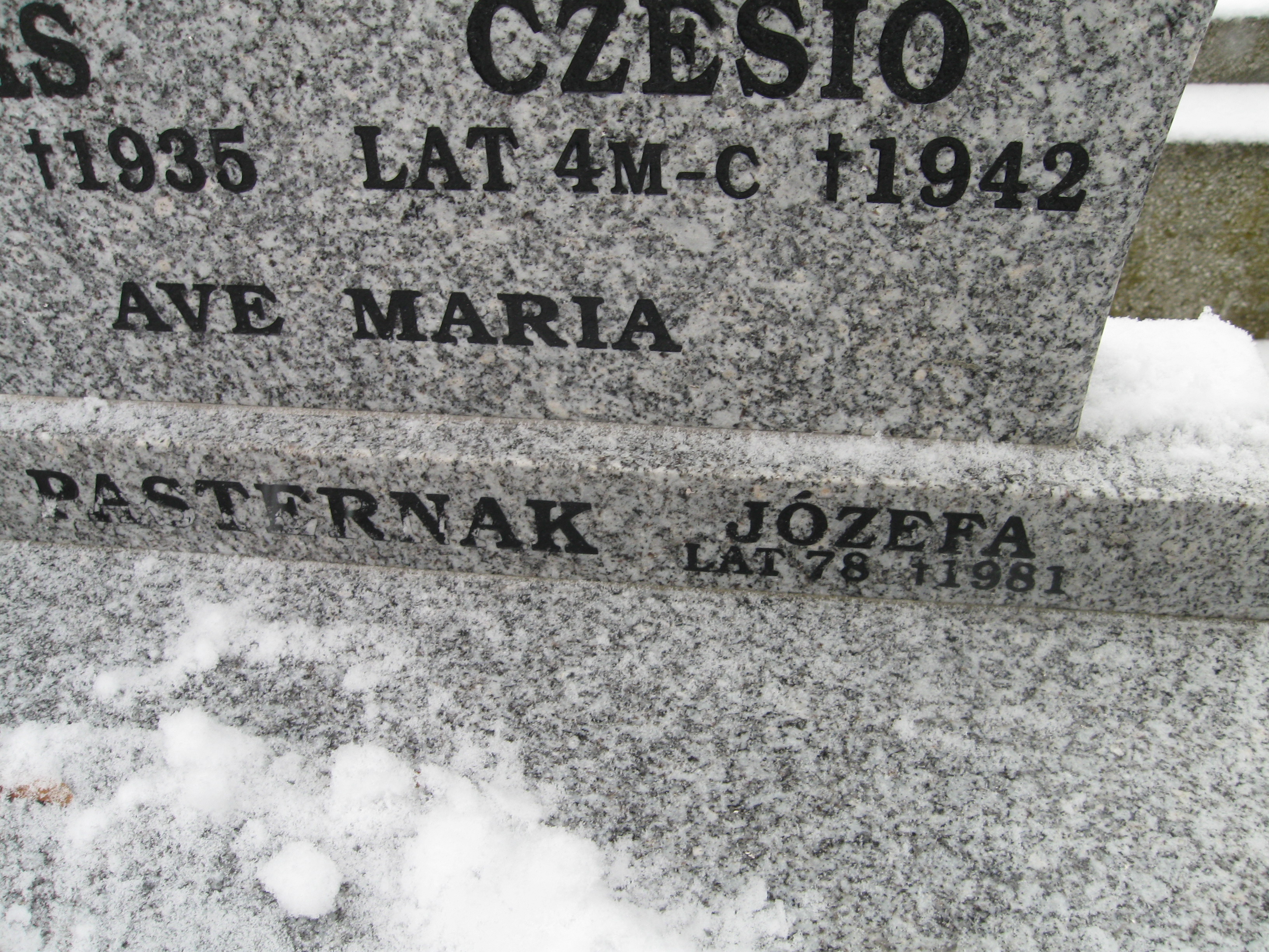 Stanisław Janiak 1925 Kalisz św. Józefa Tyniecki 0302 - Grobonet - Wyszukiwarka osób pochowanych