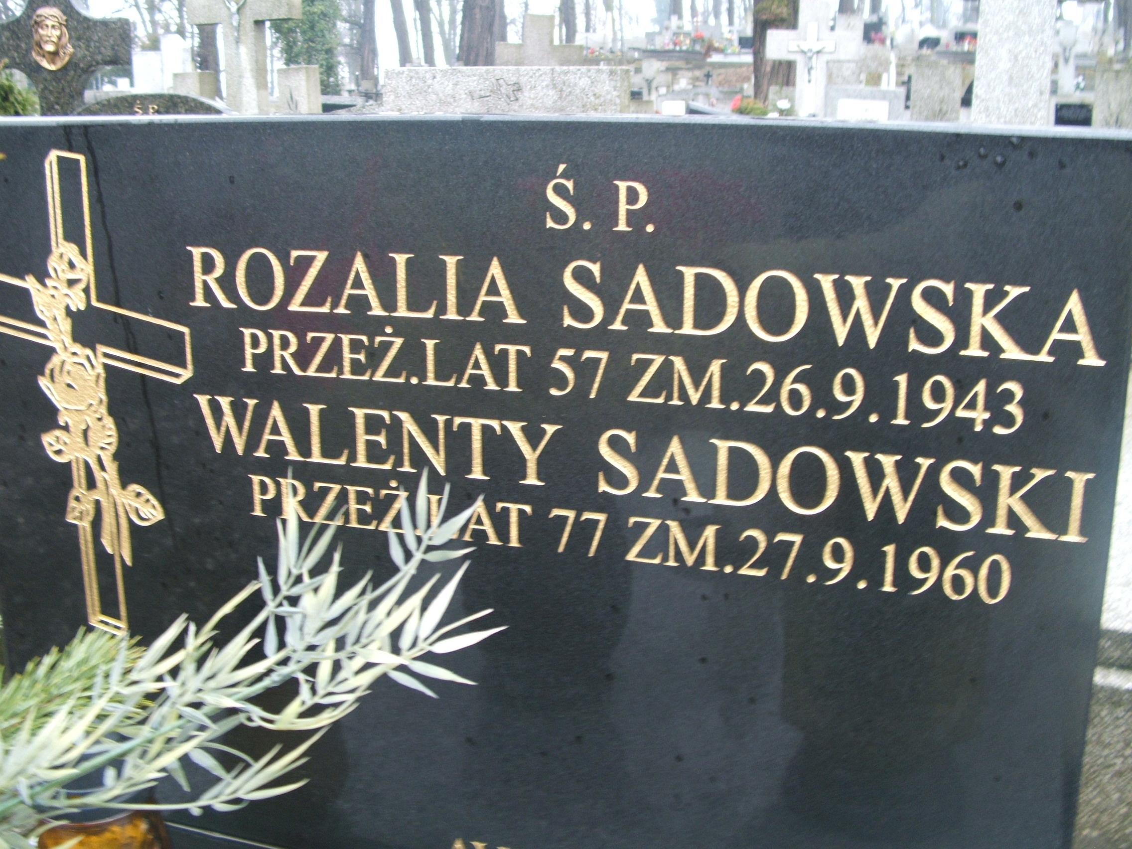 Walenty Sadowski Kalisz św. Józefa Tyniecki 0302 - Grobonet - Wyszukiwarka osób pochowanych