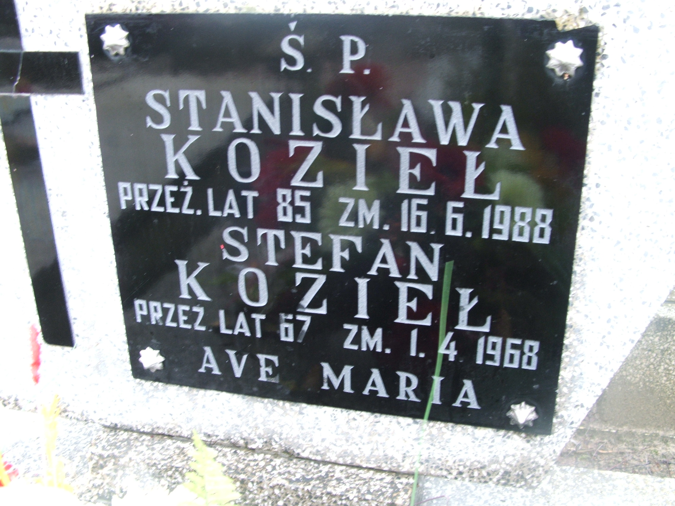 Stefan Kozieł 1900 Kalisz św. Józefa Tyniecki 0302 - Grobonet - Wyszukiwarka osób pochowanych