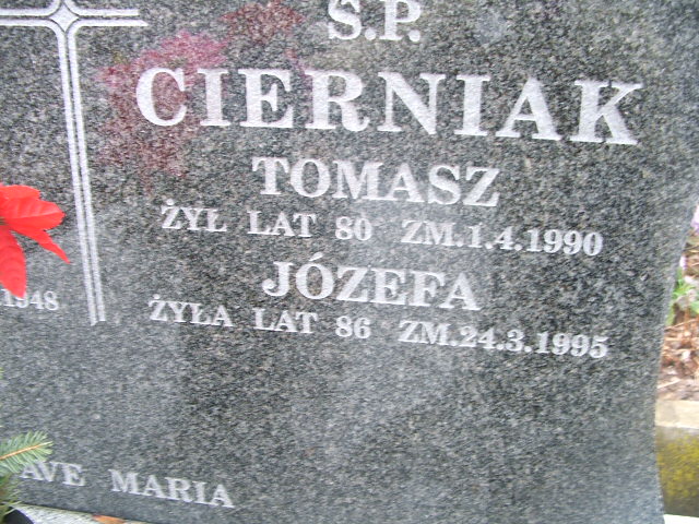 Tomasz Cierniak Kalisz św. Józefa Tyniecki 0302 - Grobonet - Wyszukiwarka osób pochowanych