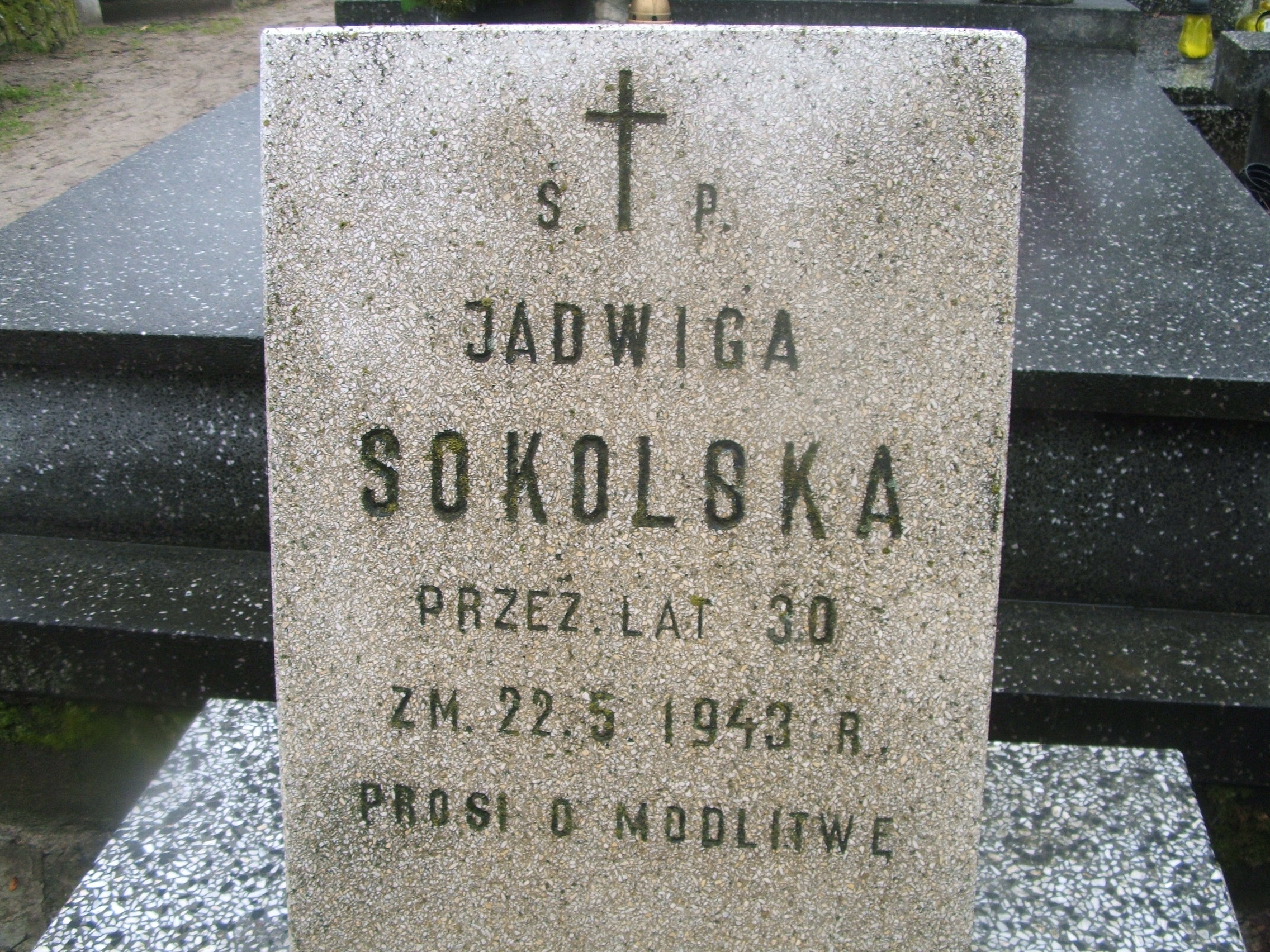 Jadwiga Sokolska Kalisz św. Józefa Tyniecki 0302 - Grobonet - Wyszukiwarka osób pochowanych