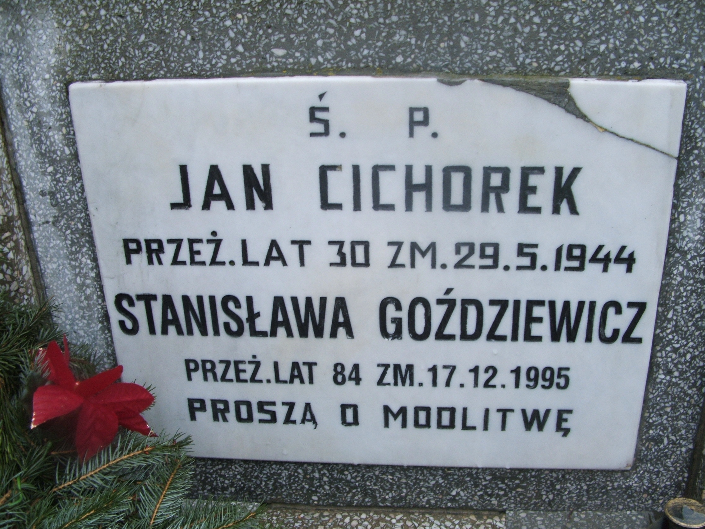 Stanisława Goździewicz Kalisz św. Józefa Tyniecki 0302 - Grobonet - Wyszukiwarka osób pochowanych