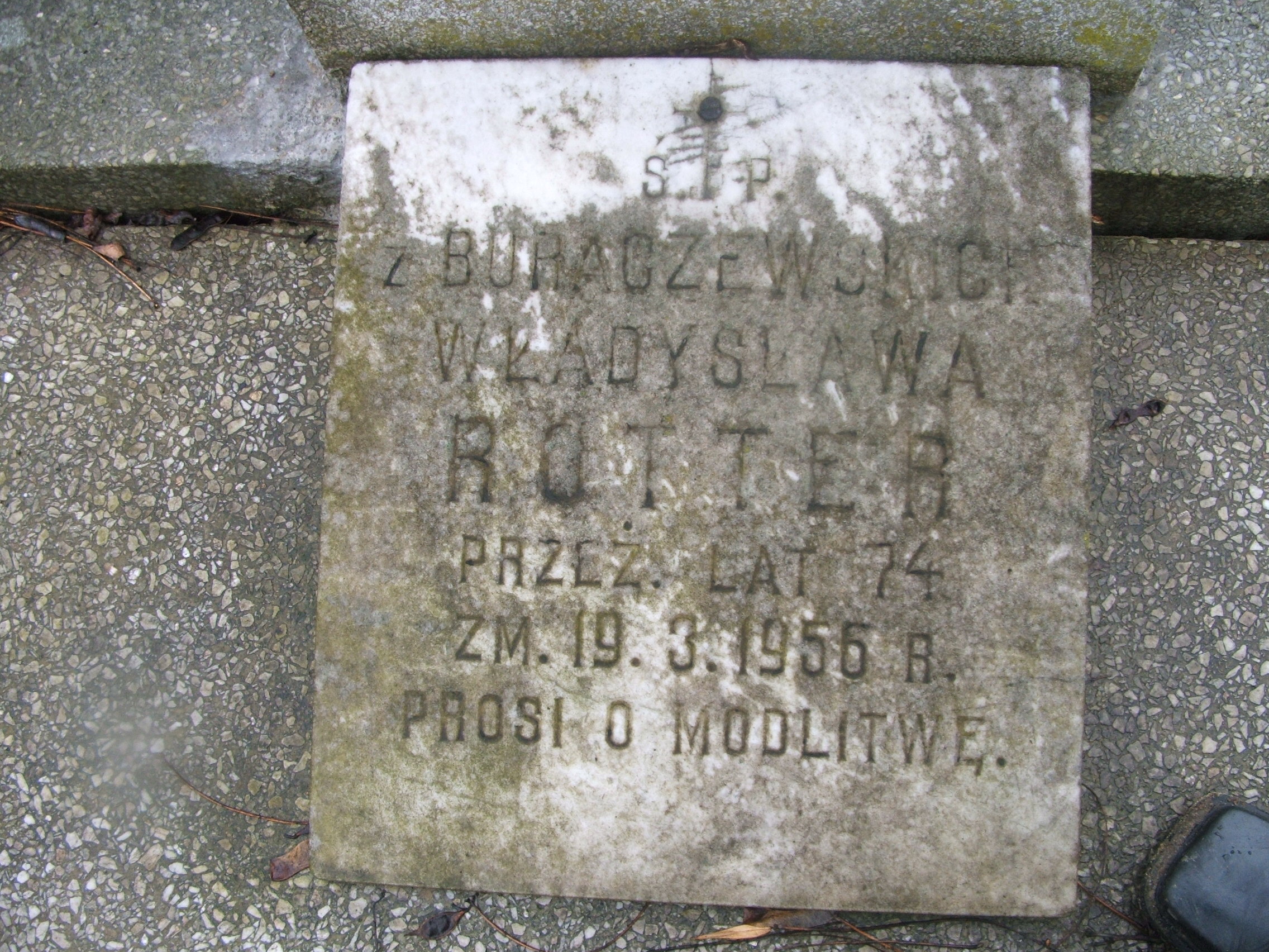 Jan Militowski 1954 Kalisz św. Józefa Tyniecki 0302 - Grobonet - Wyszukiwarka osób pochowanych