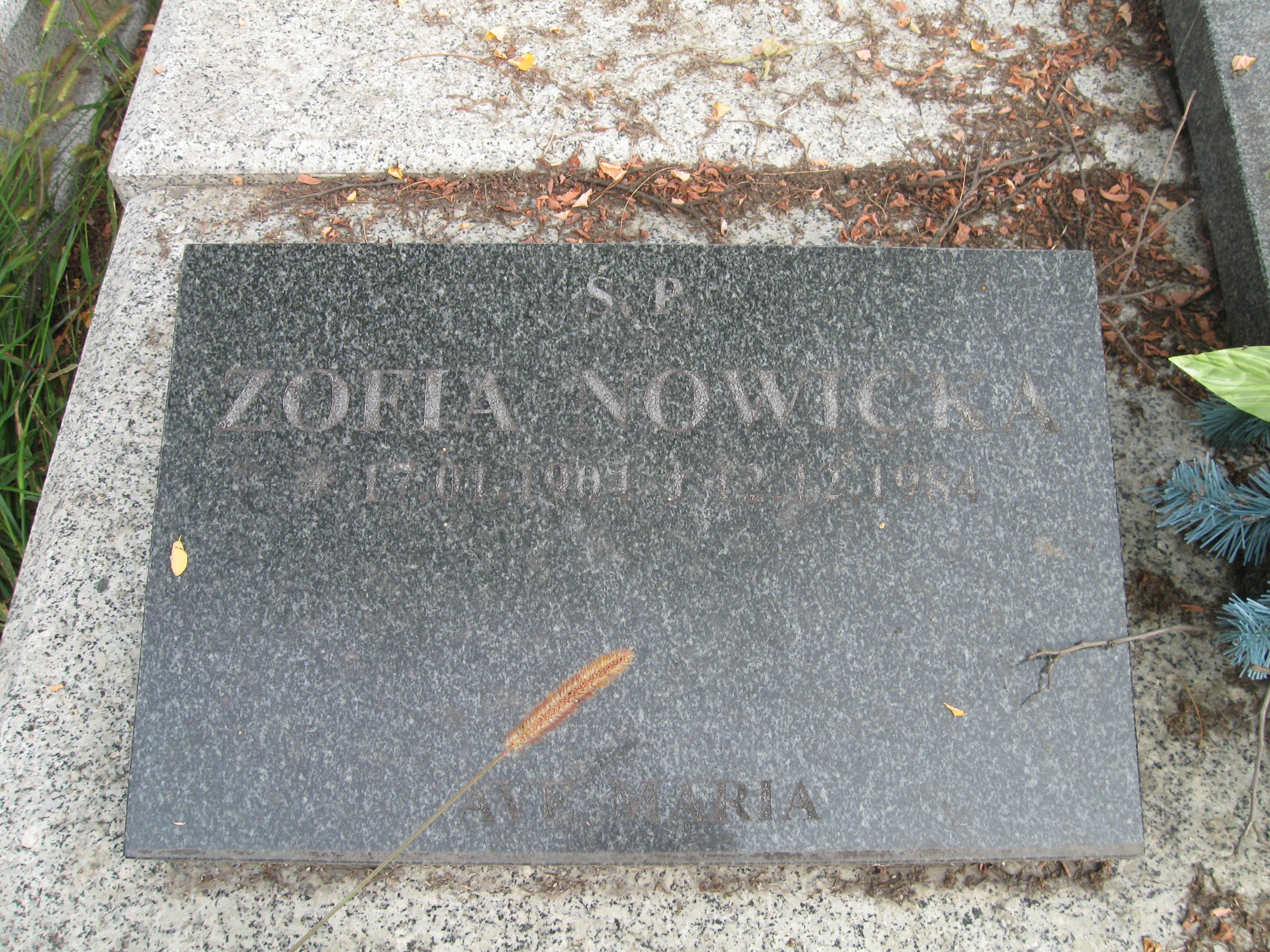 Zdjęcie grobu