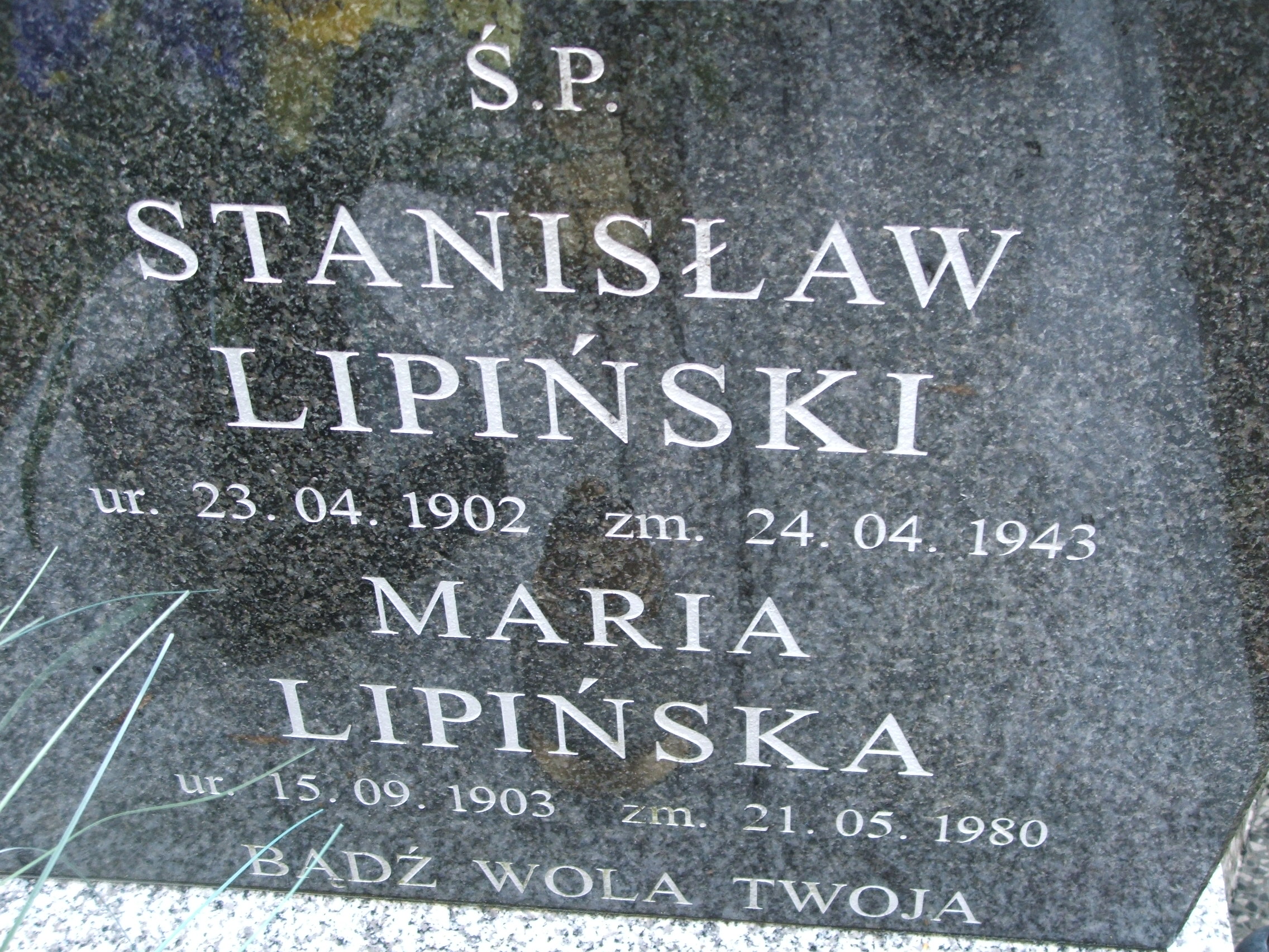 Maria Lipińska 1903 Kalisz św. Józefa Tyniecki 0302 - Grobonet - Wyszukiwarka osób pochowanych