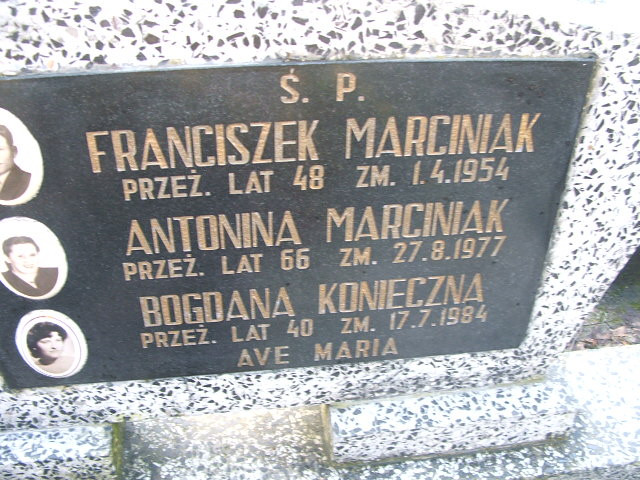 Franciszek Marciniak Kalisz św. Józefa Tyniecki 0302 - Grobonet - Wyszukiwarka osób pochowanych