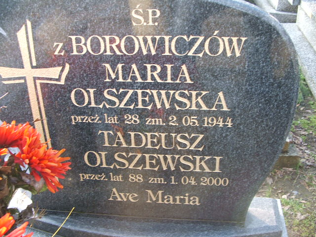 Tadeusz Olszewski Kalisz św. Józefa Tyniecki 0302 - Grobonet - Wyszukiwarka osób pochowanych