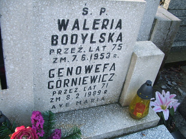 Genowefa Górniewicz Kalisz św. Józefa Tyniecki 0302 - Grobonet - Wyszukiwarka osób pochowanych