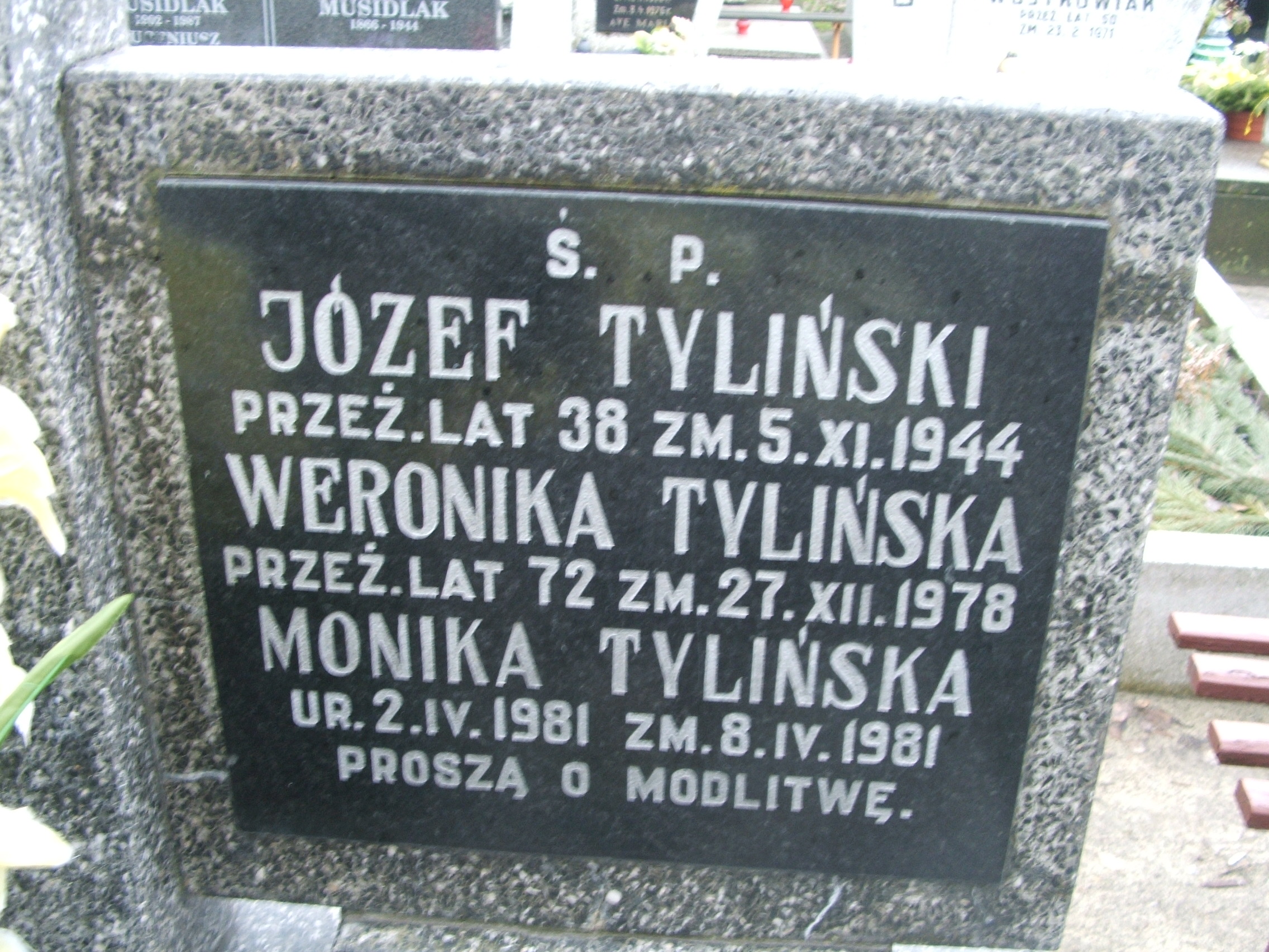 Monika Tylińska 1981 Kalisz św. Józefa Tyniecki 0302 - Grobonet - Wyszukiwarka osób pochowanych