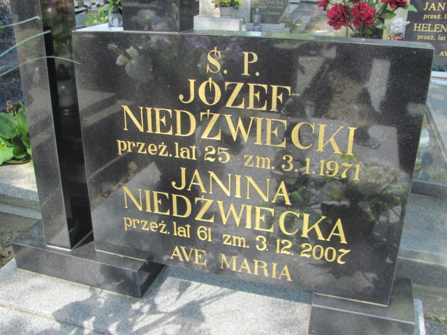 Józef Niedźwiecki Kalisz św. Józefa Tyniecki 0302 - Grobonet - Wyszukiwarka osób pochowanych