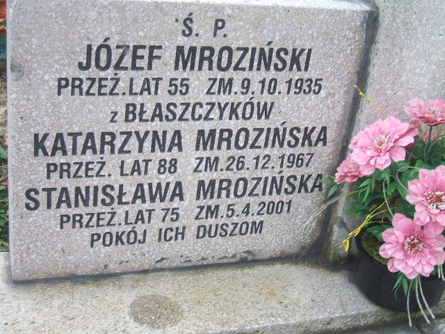 Stanisława Mrozińska Kalisz św. Józefa Tyniecki 0302 - Grobonet - Wyszukiwarka osób pochowanych