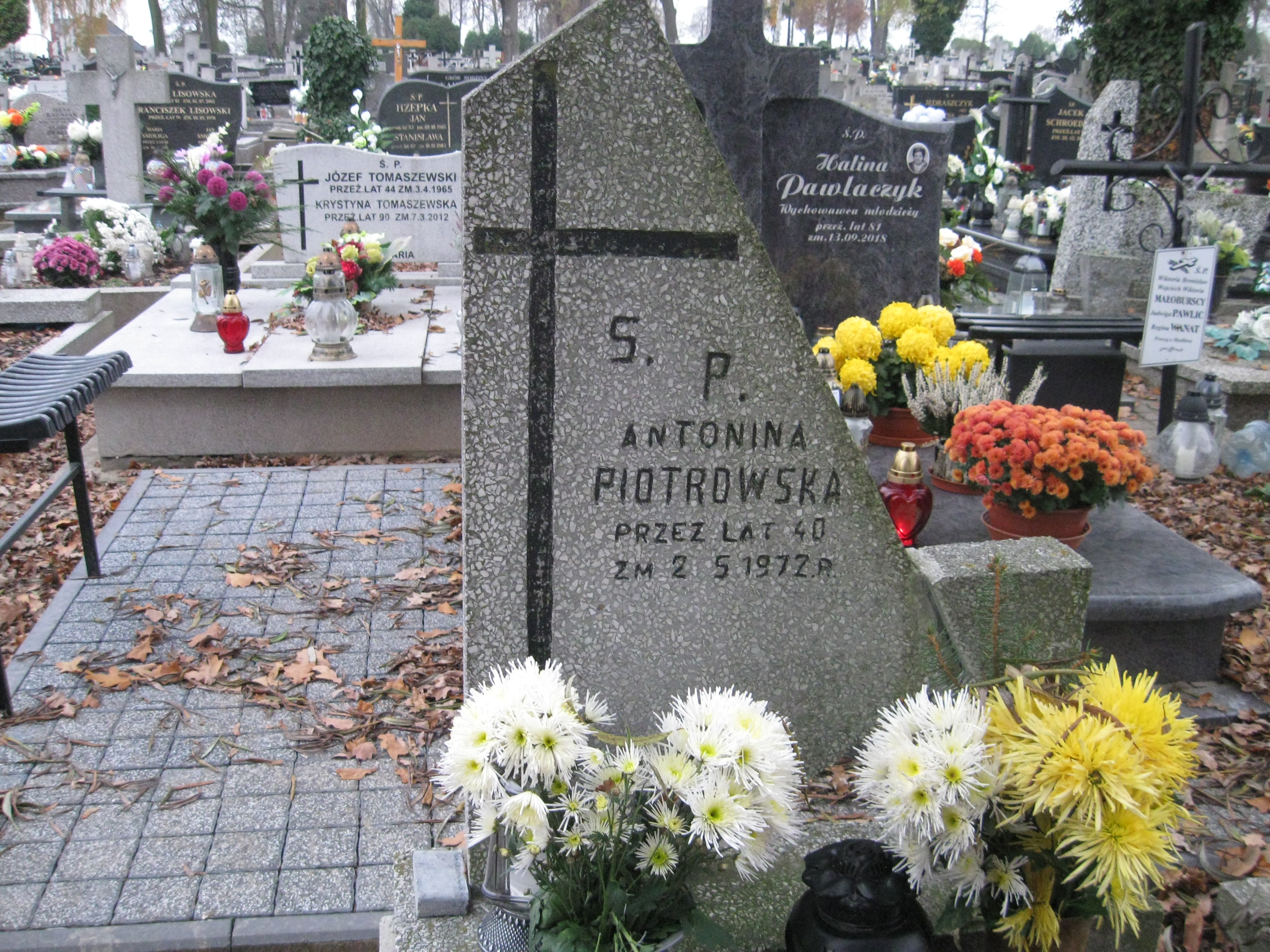 Grób Anna Pasternak