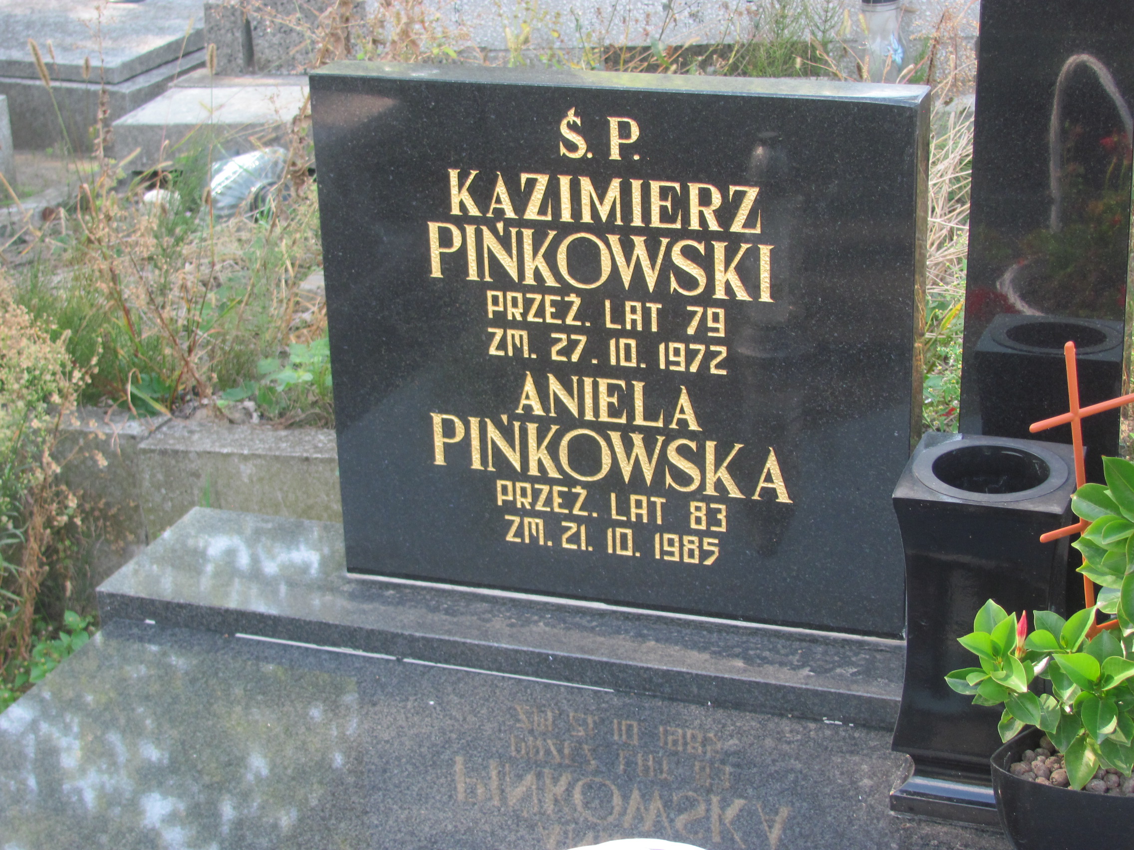 Henryk Pińkowski Kalisz św. Józefa Tyniecki 0302 - Grobonet - Wyszukiwarka osób pochowanych