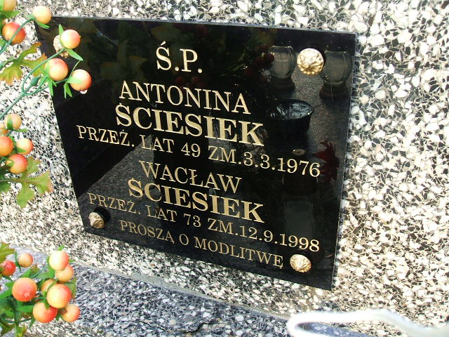 Grób Wacław Ściesiek