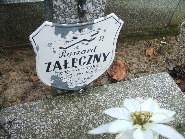 Ryszard Załęczny 1955 Kalisz św. Józefa Tyniecki 0302 - Grobonet - Wyszukiwarka osób pochowanych