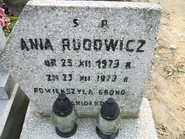 Anna Rudowicz 1973 Kalisz św. Józefa Tyniecki 0302 - Grobonet - Wyszukiwarka osób pochowanych