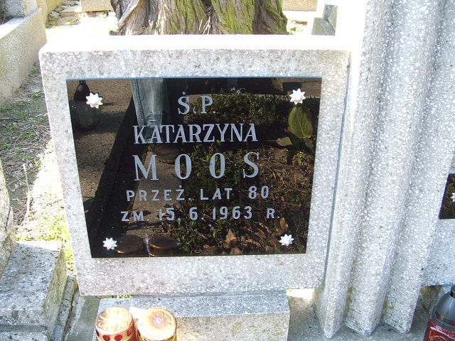 Barbara Kluczyk 1973 Kalisz św. Józefa Tyniecki 0302 - Grobonet - Wyszukiwarka osób pochowanych