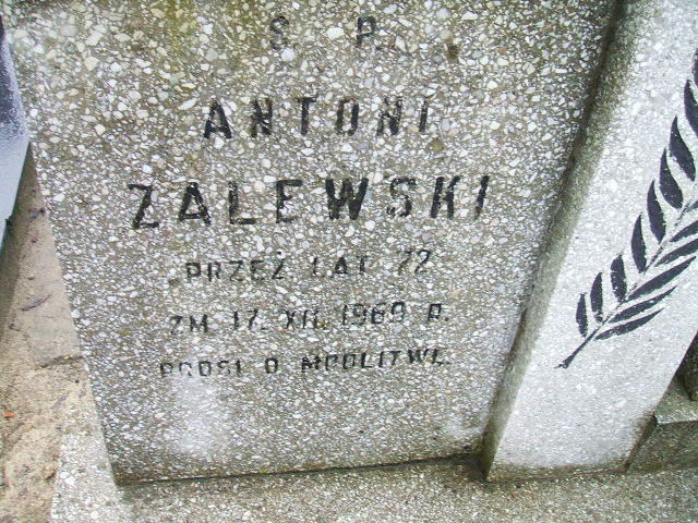 Antoni Zalewski Kalisz św. Józefa Tyniecki 0302 - Grobonet - Wyszukiwarka osób pochowanych