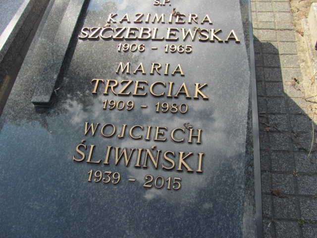 Wojciech Śliwiński 1939 Kalisz św. Józefa Tyniecki 0302 - Grobonet - Wyszukiwarka osób pochowanych