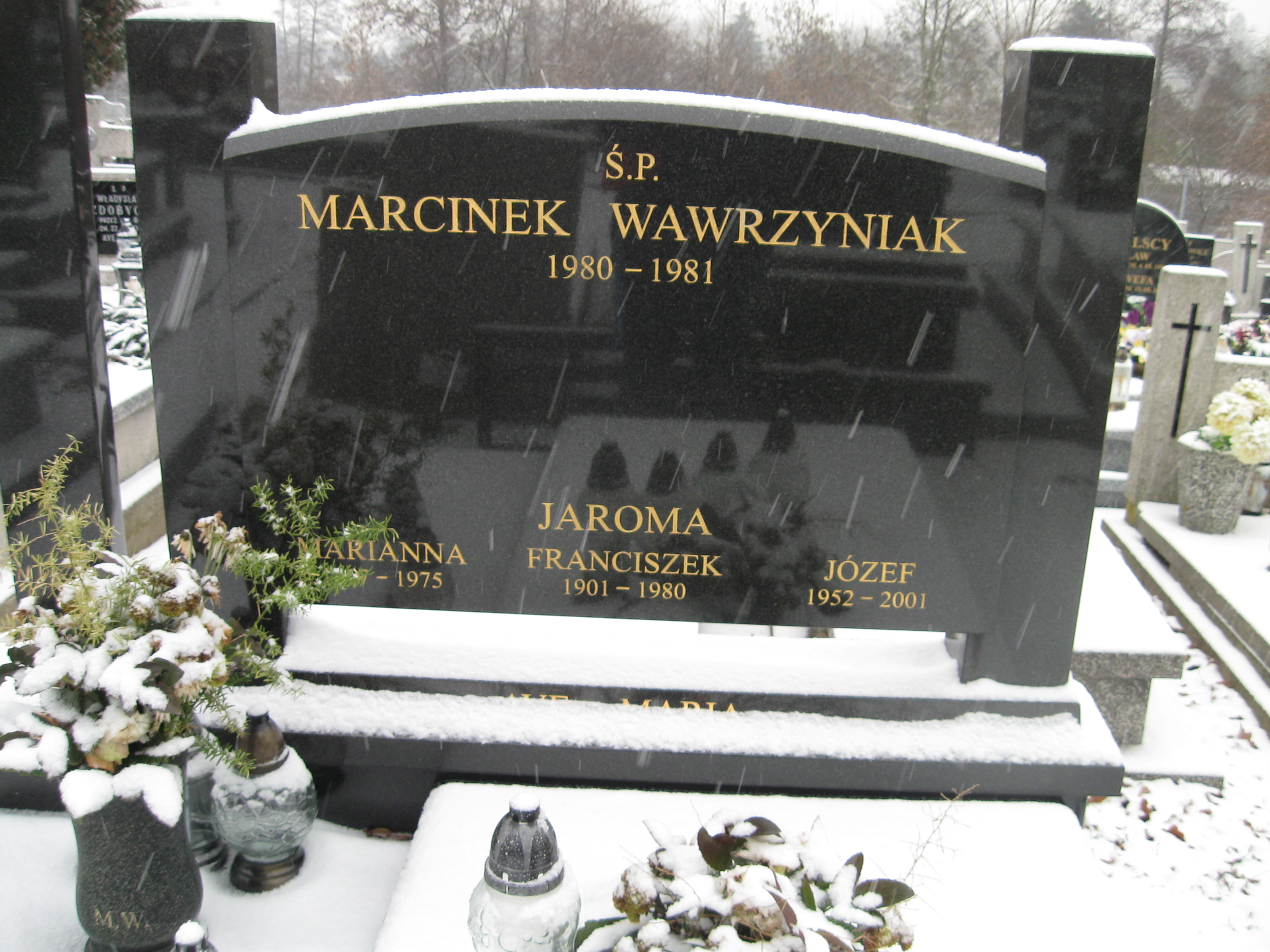 Franciszek Jaroma 1900 Kalisz św. Józefa Tyniecki 0302 - Grobonet - Wyszukiwarka osób pochowanych