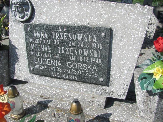 Michał Trzęsowski 1900 Kalisz św. Józefa Tyniecki 0302 - Grobonet - Wyszukiwarka osób pochowanych