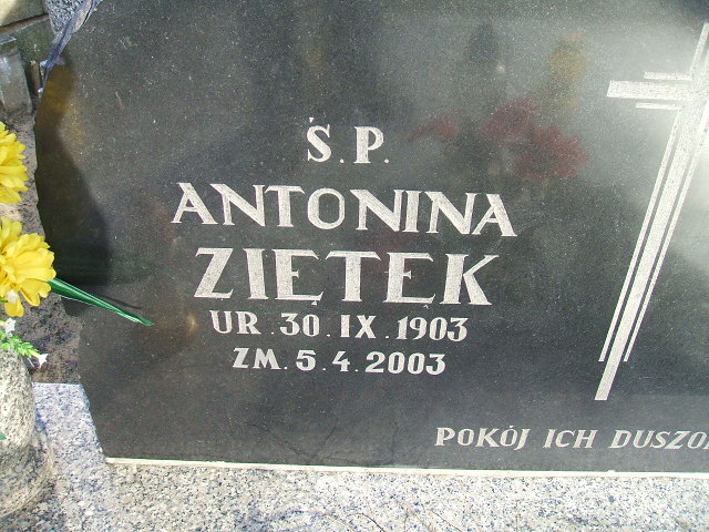Antonina Ziętek 1903 Kalisz św. Józefa Tyniecki 0302 - Grobonet - Wyszukiwarka osób pochowanych