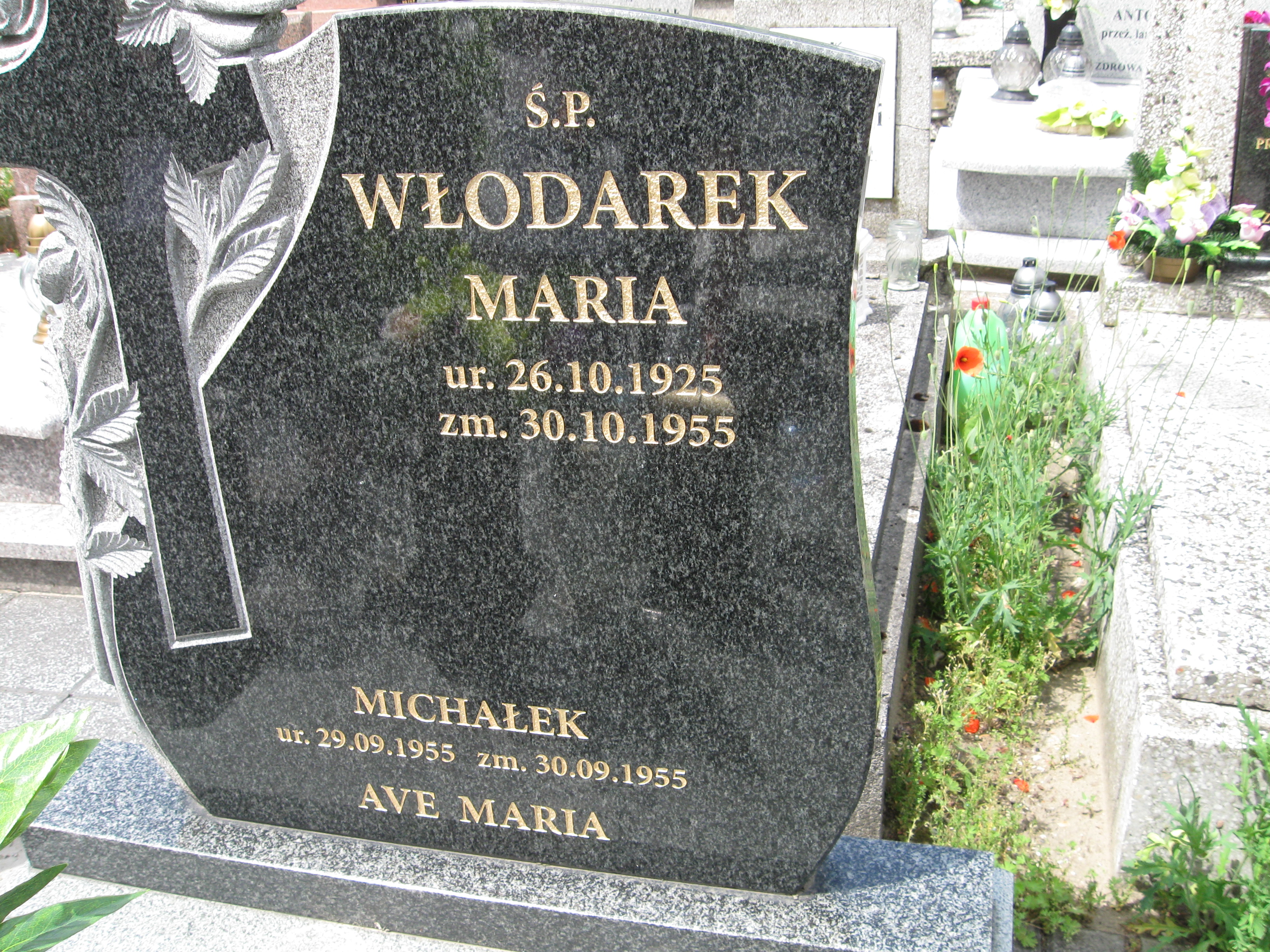 Robert Grabowski 1973 Kalisz św. Józefa Tyniecki 0302 - Grobonet - Wyszukiwarka osób pochowanych