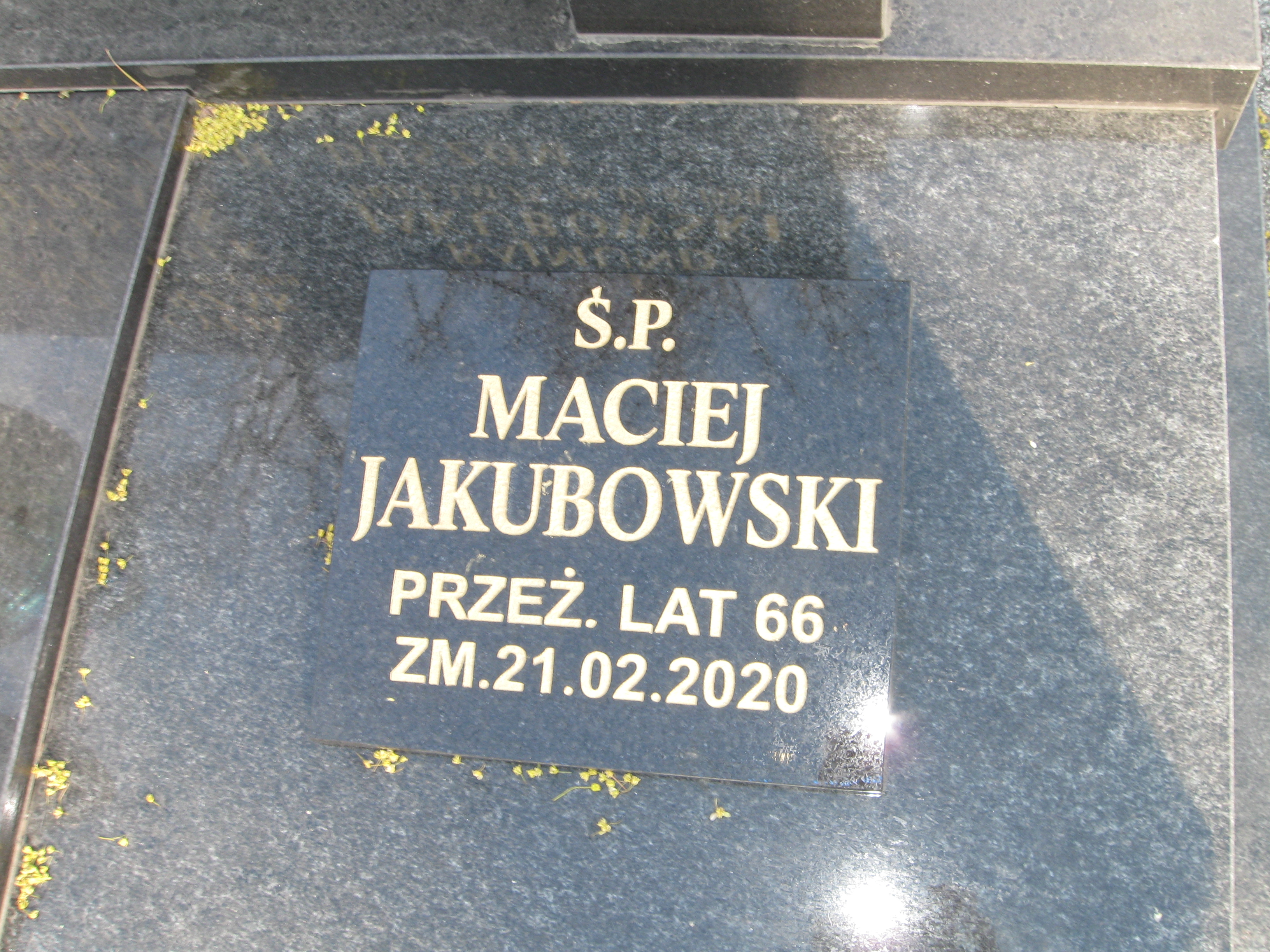 Zdjęcie grobu