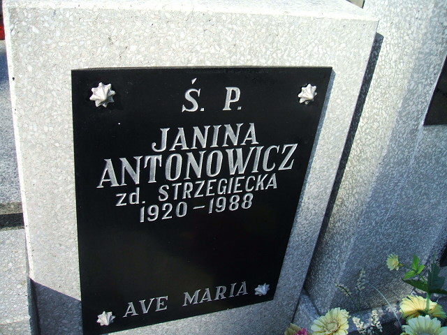 Jolanta Czajczyńska 1952 Kalisz św. Józefa Tyniecki 0302 - Grobonet - Wyszukiwarka osób pochowanych