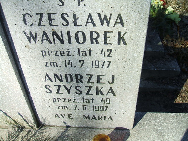 Franciszka Mrozińska Kalisz św. Józefa Tyniecki 0302 - Grobonet - Wyszukiwarka osób pochowanych