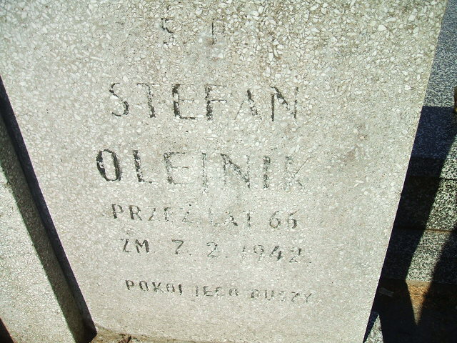 Stefan Olejnik Kalisz św. Józefa Tyniecki 0302 - Grobonet - Wyszukiwarka osób pochowanych