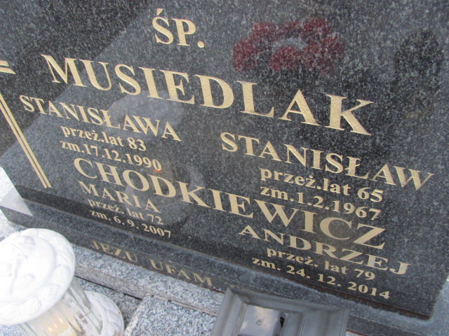 Stanisława Musiedlak Kalisz św. Józefa Tyniecki 0302 - Grobonet - Wyszukiwarka osób pochowanych