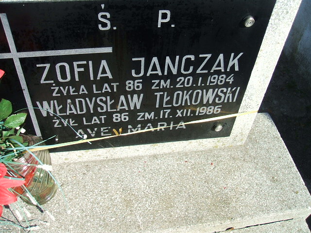 Władysław Tłokowski Kalisz św. Józefa Tyniecki 0302 - Grobonet - Wyszukiwarka osób pochowanych