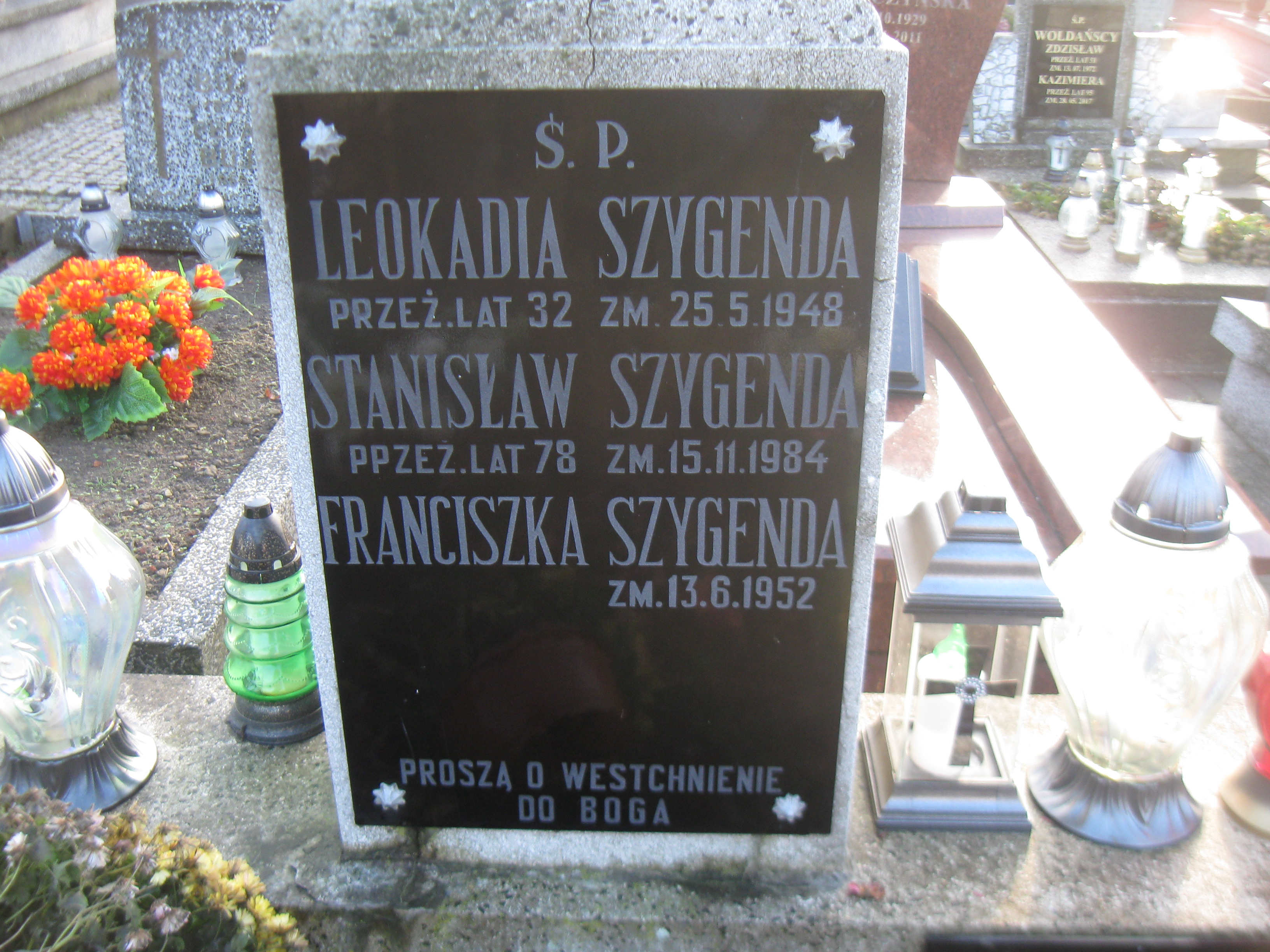 Leokadia Szygenda 1915 Kalisz św. Józefa Tyniecki 0302 - Grobonet - Wyszukiwarka osób pochowanych