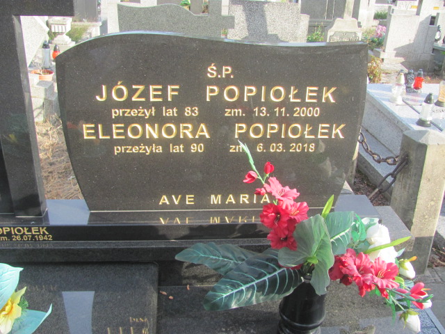 Henryk Mroskowiak 1946 Kalisz św. Józefa Tyniecki 0302 - Grobonet - Wyszukiwarka osób pochowanych