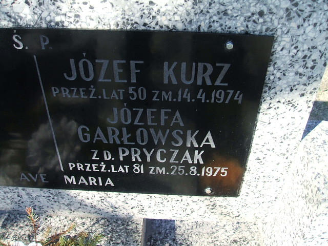 Helena Kurz 1930 Kalisz św. Józefa Tyniecki 0302 - Grobonet - Wyszukiwarka osób pochowanych
