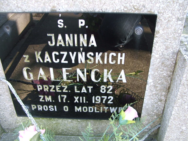 Janina Galencka Kalisz św. Józefa Tyniecki 0302 - Grobonet - Wyszukiwarka osób pochowanych