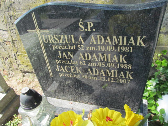 Jacek Adamiak 1958 Kalisz św. Józefa Tyniecki 0302 - Grobonet - Wyszukiwarka osób pochowanych