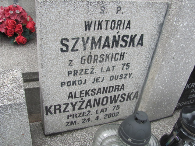 Czesław Maćczak 1942 Kalisz św. Józefa Tyniecki 0302 - Grobonet - Wyszukiwarka osób pochowanych