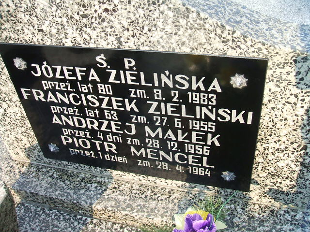 Józefa Zielińska Kalisz św. Józefa Tyniecki 0302 - Grobonet - Wyszukiwarka osób pochowanych