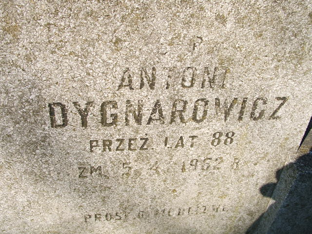 Antoni Dygnarowicz Kalisz św. Józefa Tyniecki 0302 - Grobonet - Wyszukiwarka osób pochowanych