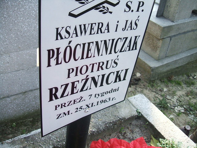 Piotr Rzeźnicki Kalisz św. Józefa Tyniecki 0302 - Grobonet - Wyszukiwarka osób pochowanych