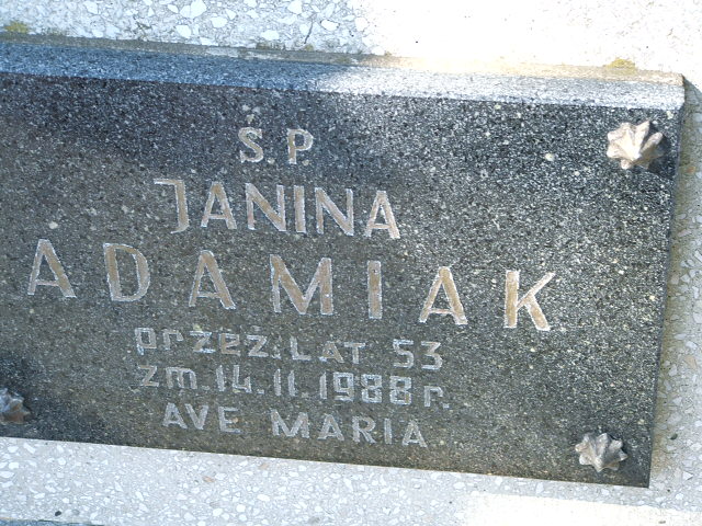 Jerzy Adamiak Kalisz św. Józefa Tyniecki 0302 - Grobonet - Wyszukiwarka osób pochowanych