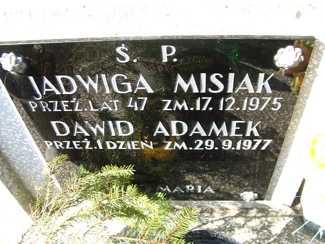 Jadwiga Misiak Kalisz św. Józefa Tyniecki 0302 - Grobonet - Wyszukiwarka osób pochowanych
