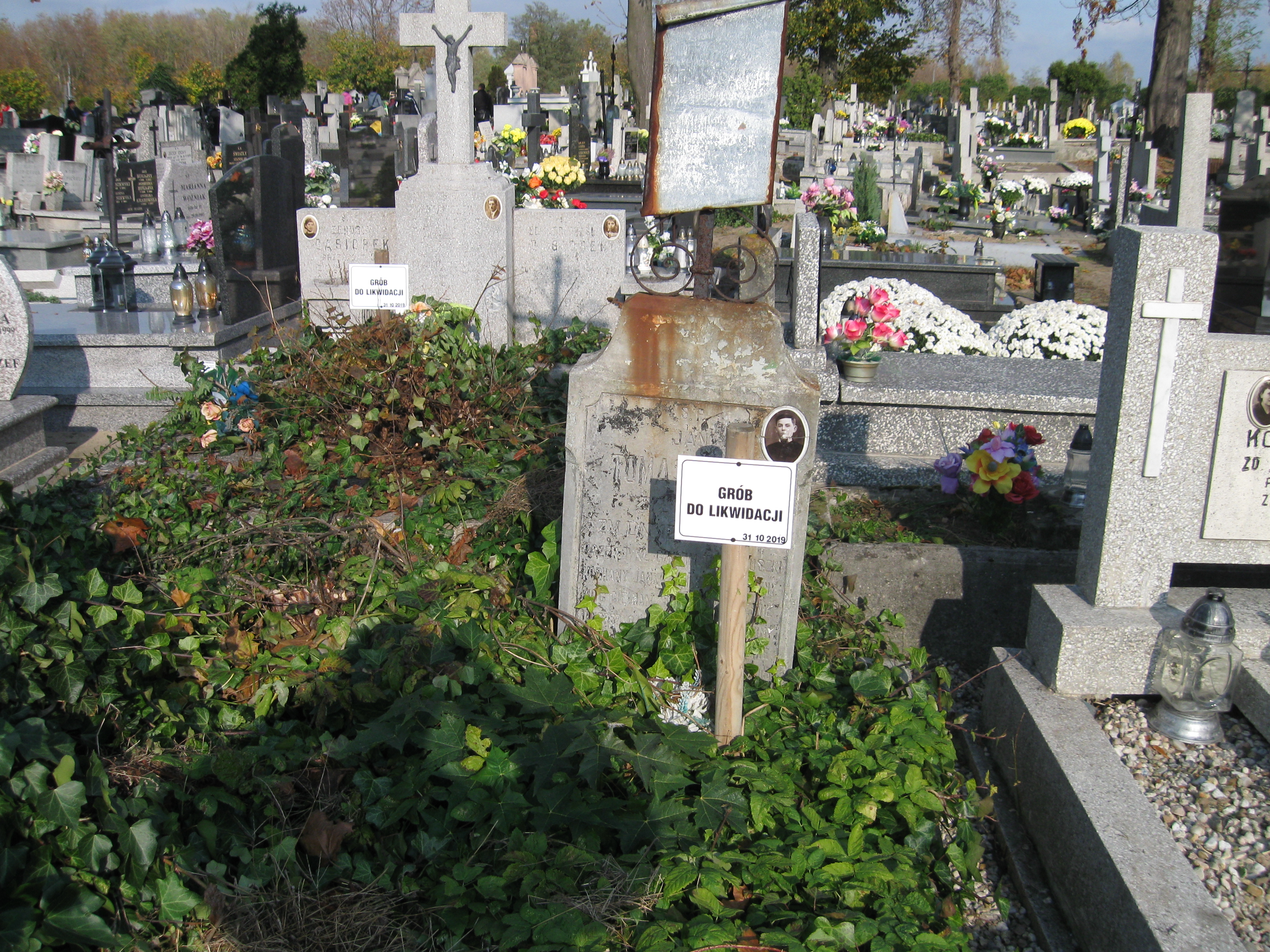 Grób Jan Tomaszewski