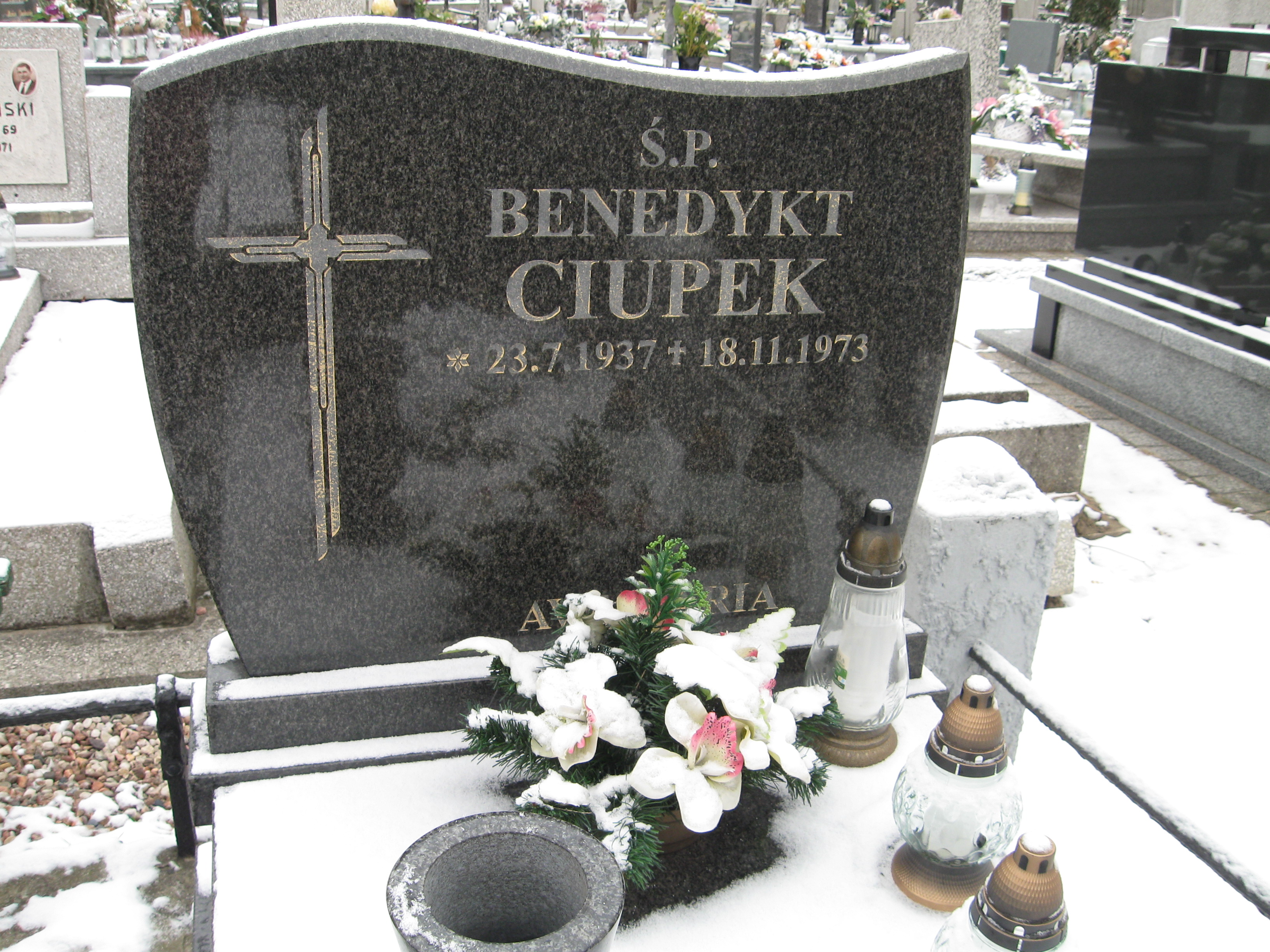 Anna Ciupek 1934 Kalisz św. Józefa Tyniecki 0302 - Grobonet - Wyszukiwarka osób pochowanych