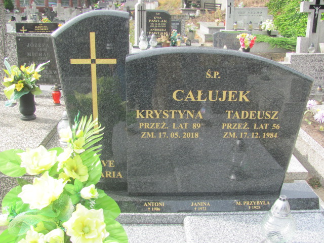 Tadeusz Całujek Kalisz św. Józefa Tyniecki 0302 - Grobonet - Wyszukiwarka osób pochowanych