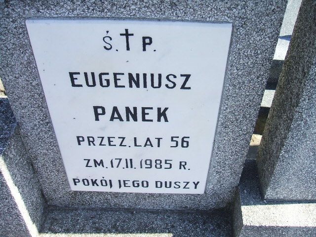 Helena Panek 1900 Kalisz św. Józefa Tyniecki 0302 - Grobonet - Wyszukiwarka osób pochowanych