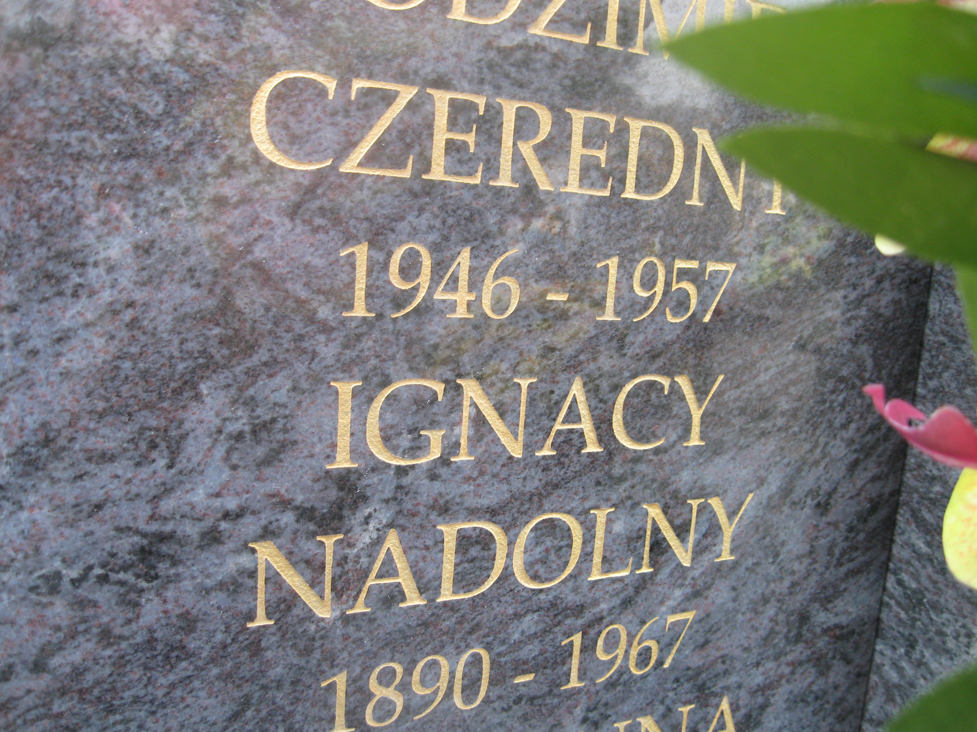 Jadwiga Sztark 1935 Kalisz św. Józefa Tyniecki 0302 - Grobonet - Wyszukiwarka osób pochowanych